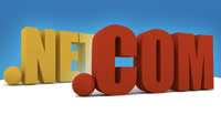 Register domain names